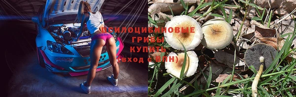 крисы Балабаново