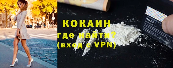 стафф Арсеньев