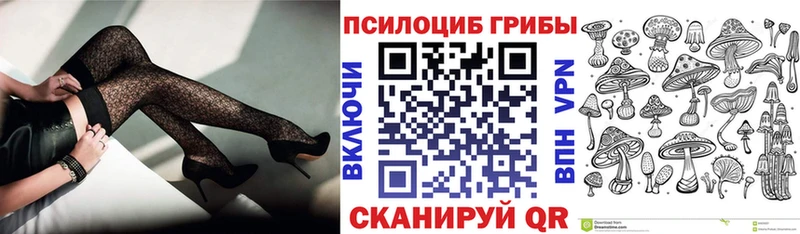 MEGA онион  Чулым  Галлюциногенные грибы мицелий 